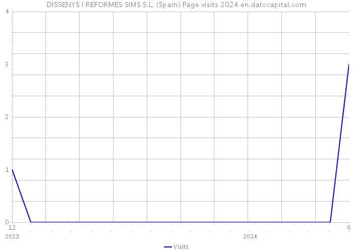 DISSENYS I REFORMES SIMS S.L. (Spain) Page visits 2024 