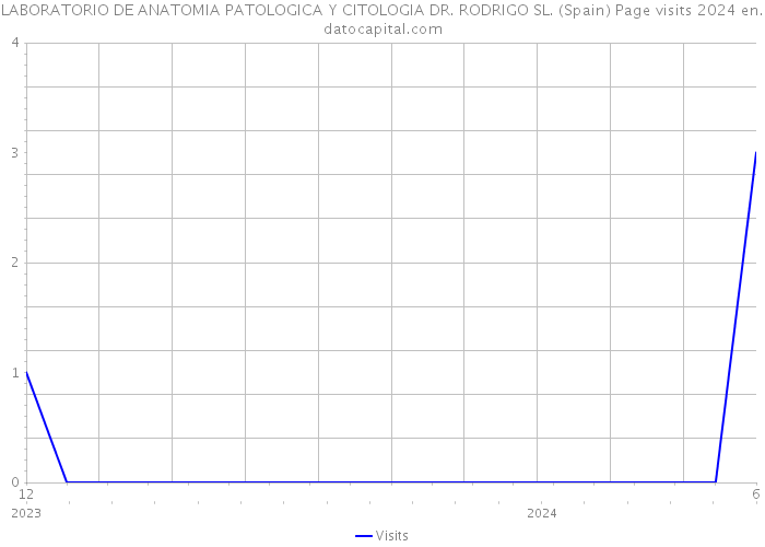 LABORATORIO DE ANATOMIA PATOLOGICA Y CITOLOGIA DR. RODRIGO SL. (Spain) Page visits 2024 