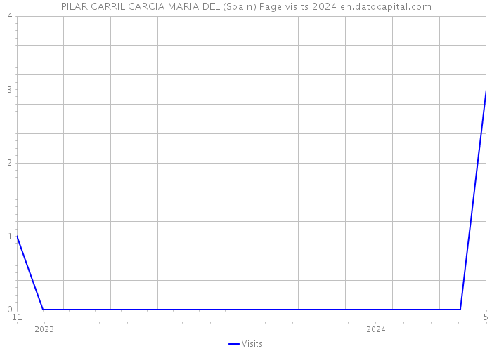 PILAR CARRIL GARCIA MARIA DEL (Spain) Page visits 2024 