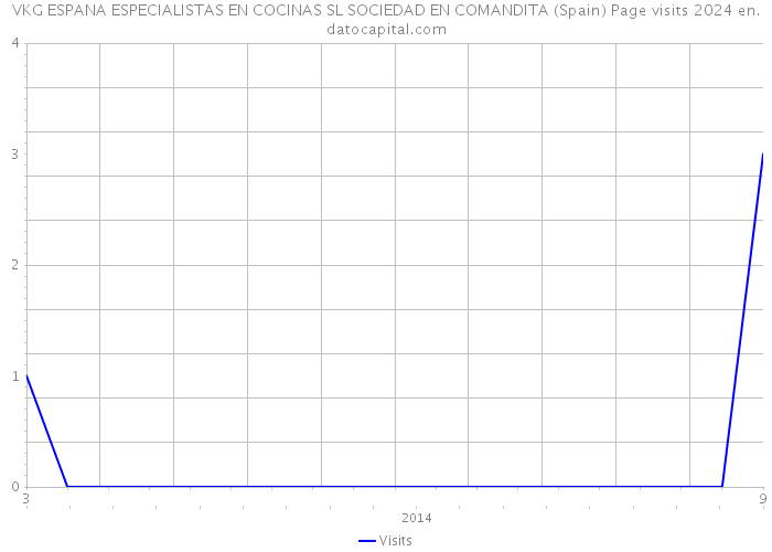 VKG ESPANA ESPECIALISTAS EN COCINAS SL SOCIEDAD EN COMANDITA (Spain) Page visits 2024 
