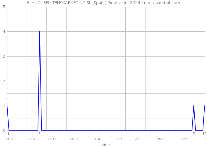 BLANCUBER TELEMARKETING SL (Spain) Page visits 2024 