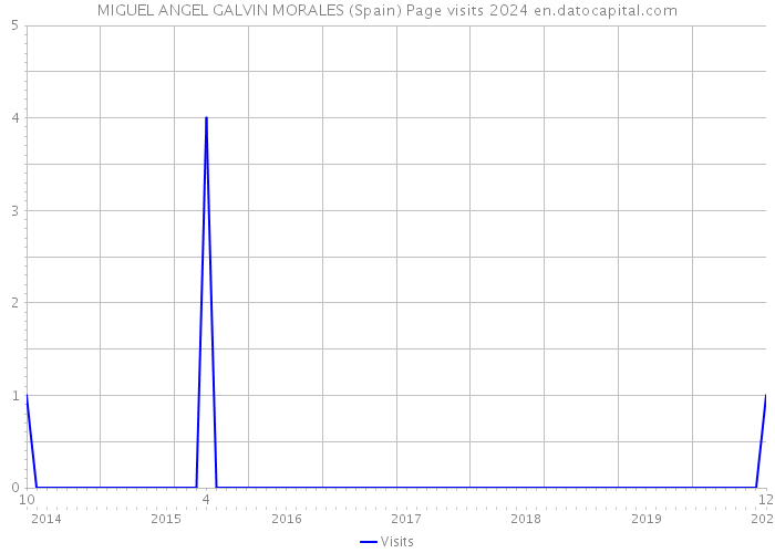 MIGUEL ANGEL GALVIN MORALES (Spain) Page visits 2024 