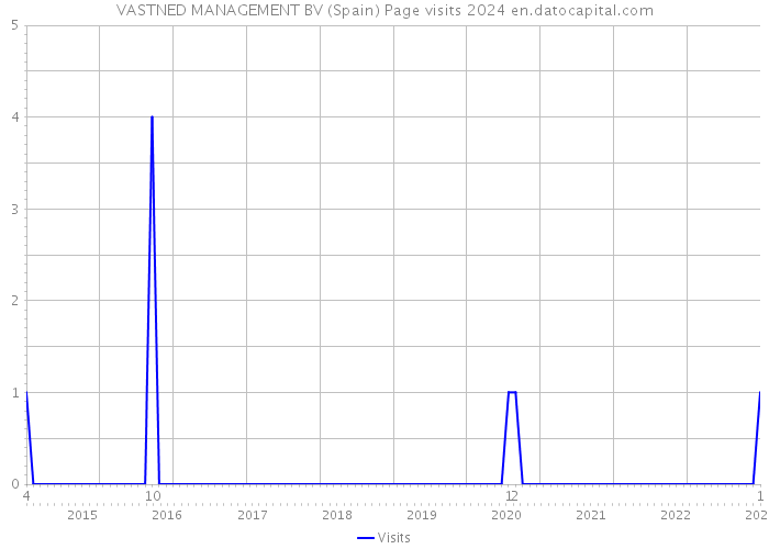 VASTNED MANAGEMENT BV (Spain) Page visits 2024 