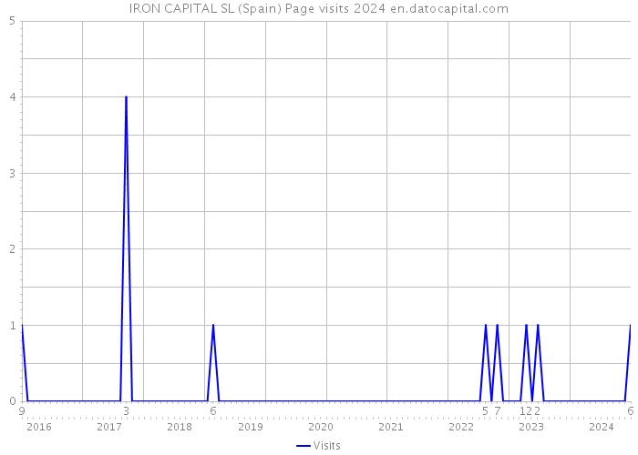 IRON CAPITAL SL (Spain) Page visits 2024 