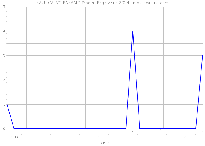 RAUL CALVO PARAMO (Spain) Page visits 2024 