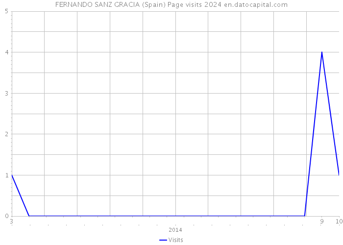 FERNANDO SANZ GRACIA (Spain) Page visits 2024 