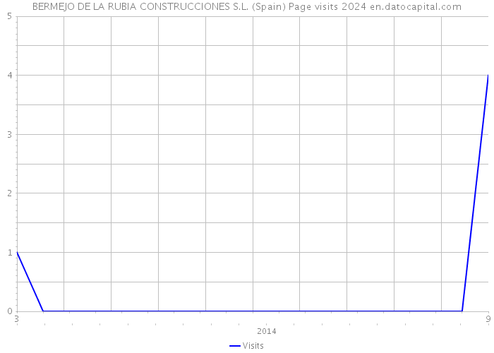 BERMEJO DE LA RUBIA CONSTRUCCIONES S.L. (Spain) Page visits 2024 