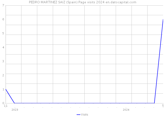PEDRO MARTINEZ SAIZ (Spain) Page visits 2024 