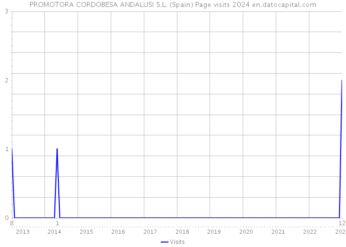 PROMOTORA CORDOBESA ANDALUSI S.L. (Spain) Page visits 2024 
