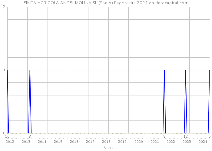 FINCA AGRICOLA ANGEL MOLINA SL (Spain) Page visits 2024 