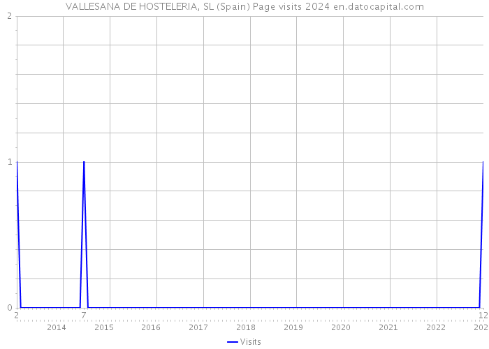 VALLESANA DE HOSTELERIA, SL (Spain) Page visits 2024 