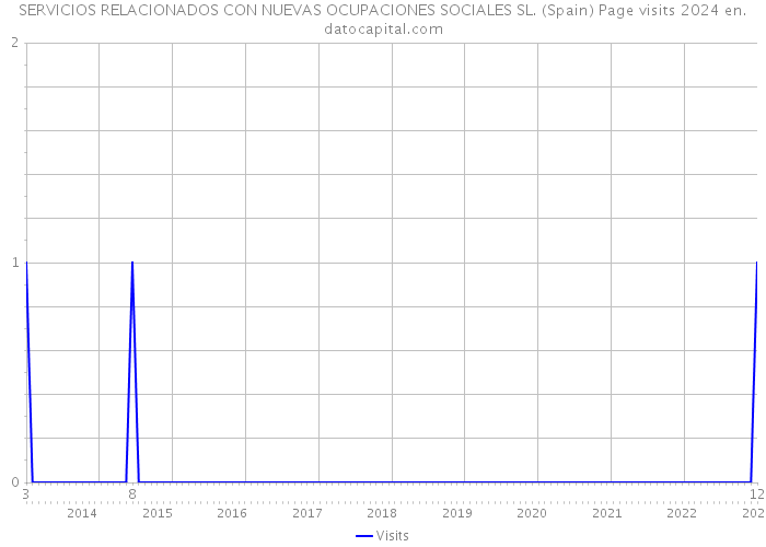 SERVICIOS RELACIONADOS CON NUEVAS OCUPACIONES SOCIALES SL. (Spain) Page visits 2024 