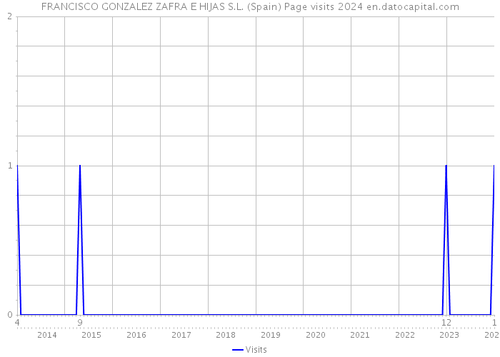 FRANCISCO GONZALEZ ZAFRA E HIJAS S.L. (Spain) Page visits 2024 