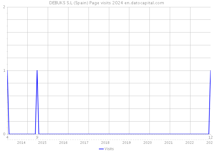 DEBUKS S.L (Spain) Page visits 2024 