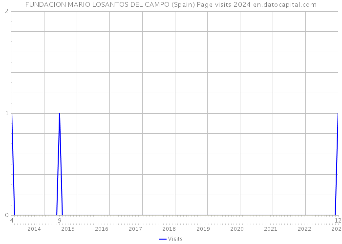 FUNDACION MARIO LOSANTOS DEL CAMPO (Spain) Page visits 2024 