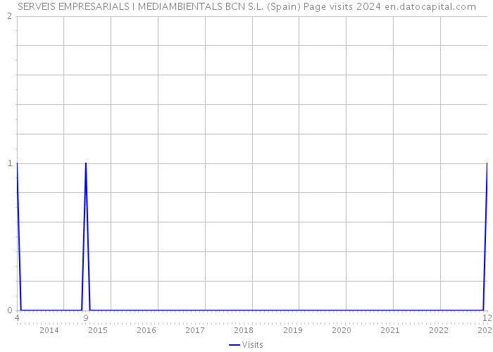 SERVEIS EMPRESARIALS I MEDIAMBIENTALS BCN S.L. (Spain) Page visits 2024 