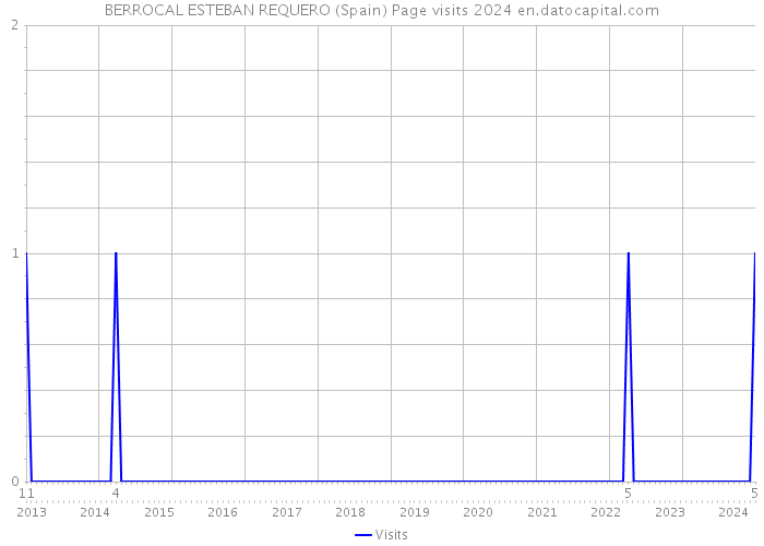 BERROCAL ESTEBAN REQUERO (Spain) Page visits 2024 