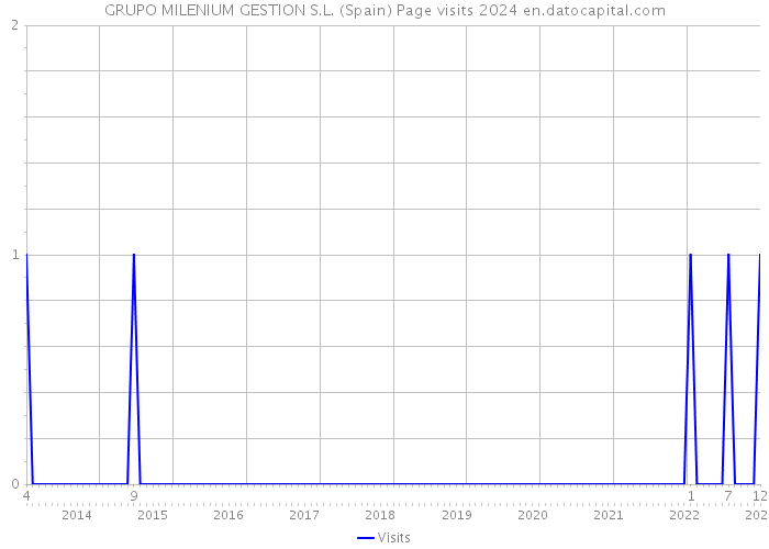 GRUPO MILENIUM GESTION S.L. (Spain) Page visits 2024 