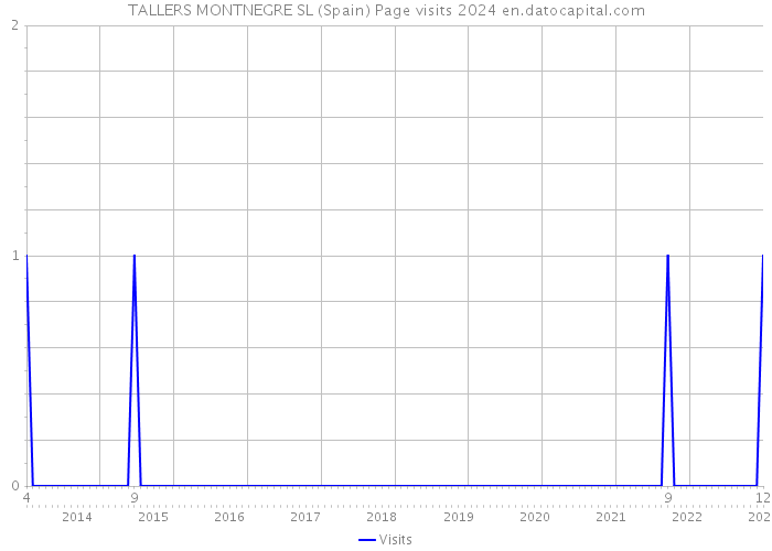 TALLERS MONTNEGRE SL (Spain) Page visits 2024 