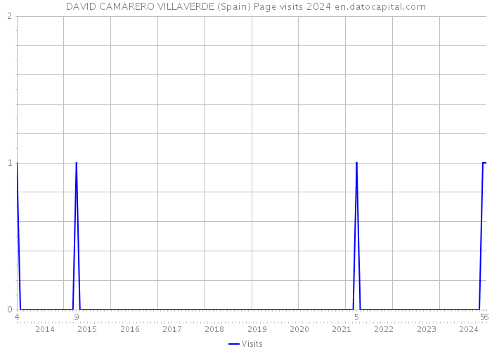 DAVID CAMARERO VILLAVERDE (Spain) Page visits 2024 