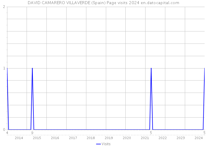 DAVID CAMARERO VILLAVERDE (Spain) Page visits 2024 