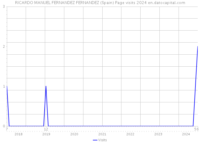 RICARDO MANUEL FERNANDEZ FERNANDEZ (Spain) Page visits 2024 