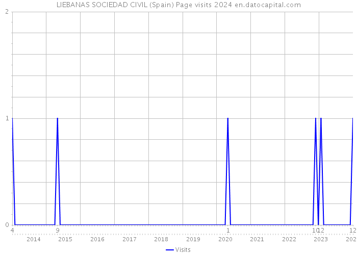 LIEBANAS SOCIEDAD CIVIL (Spain) Page visits 2024 