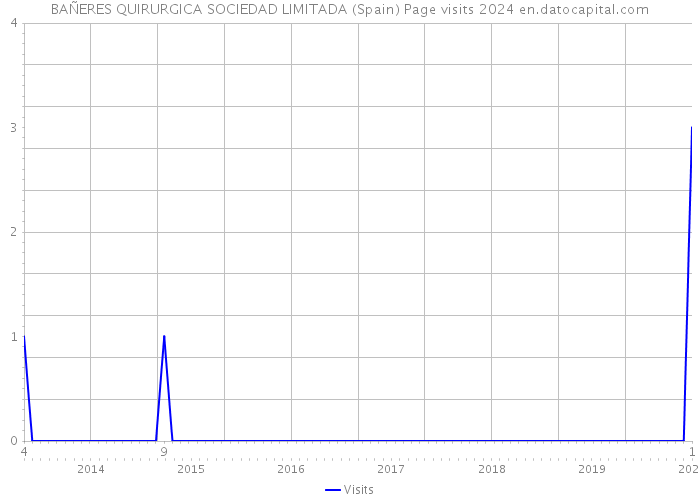 BAÑERES QUIRURGICA SOCIEDAD LIMITADA (Spain) Page visits 2024 