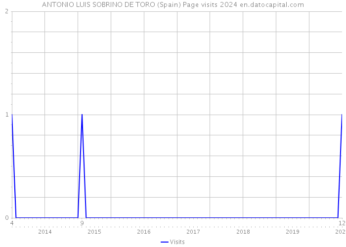 ANTONIO LUIS SOBRINO DE TORO (Spain) Page visits 2024 