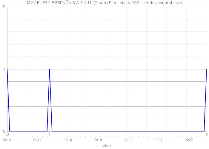 MVV ENERGIE ESPAÑA S.A S.A.U. (Spain) Page visits 2024 