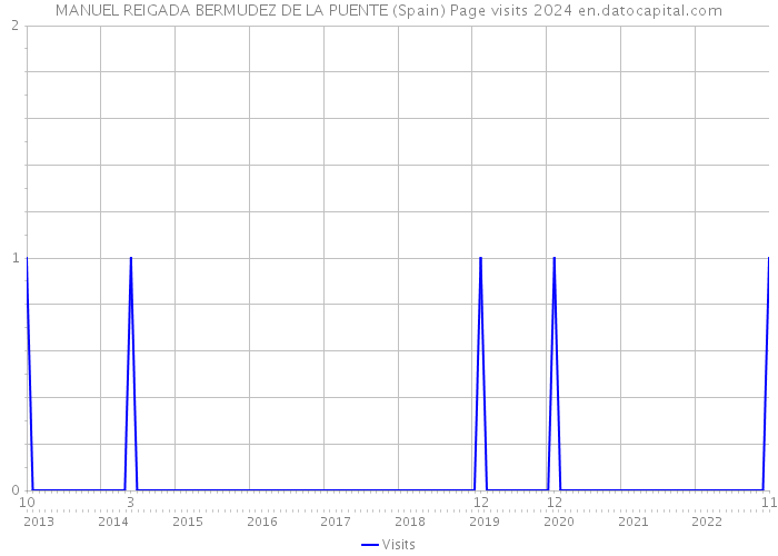 MANUEL REIGADA BERMUDEZ DE LA PUENTE (Spain) Page visits 2024 