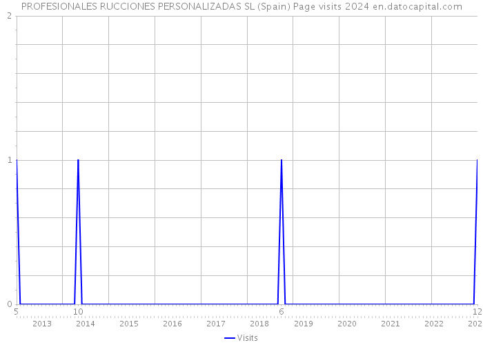 PROFESIONALES RUCCIONES PERSONALIZADAS SL (Spain) Page visits 2024 