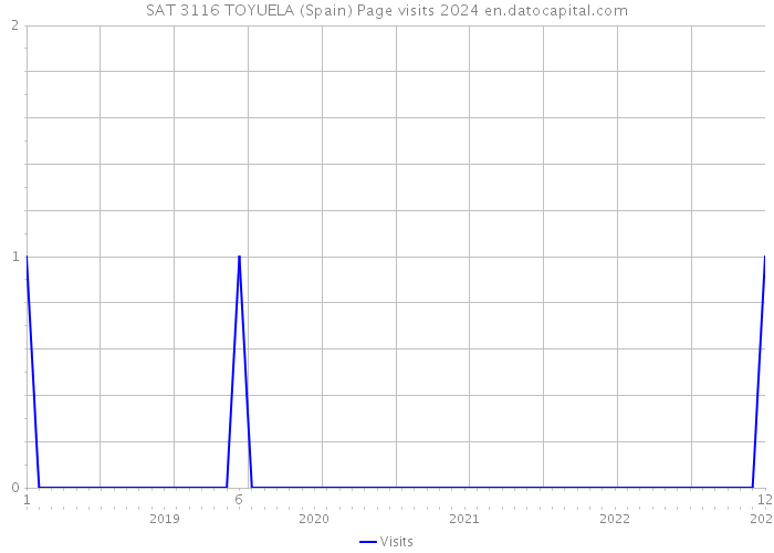 SAT 3116 TOYUELA (Spain) Page visits 2024 