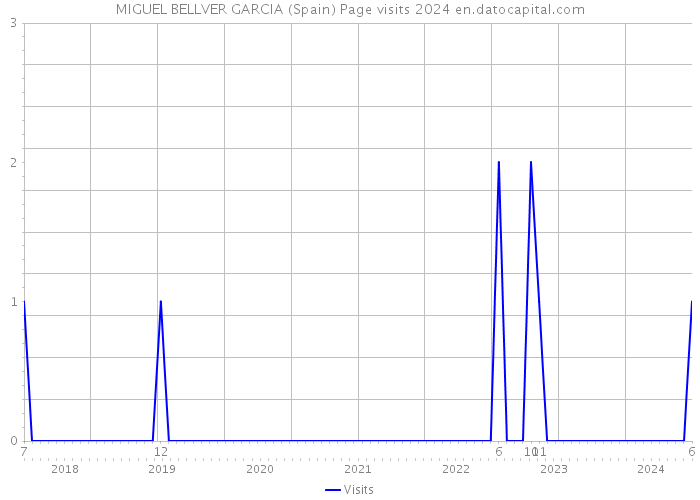 MIGUEL BELLVER GARCIA (Spain) Page visits 2024 