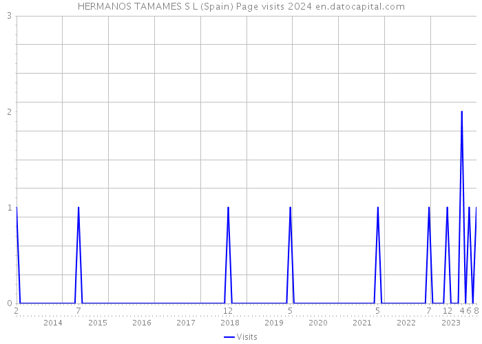 HERMANOS TAMAMES S L (Spain) Page visits 2024 