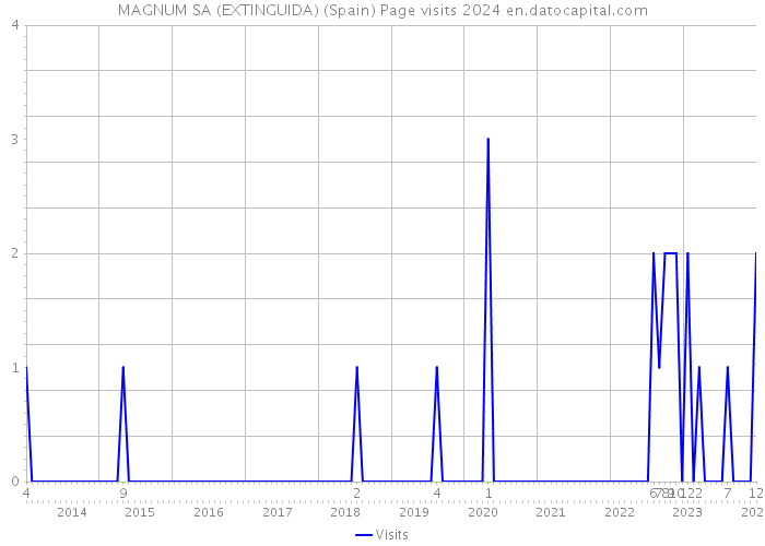 MAGNUM SA (EXTINGUIDA) (Spain) Page visits 2024 