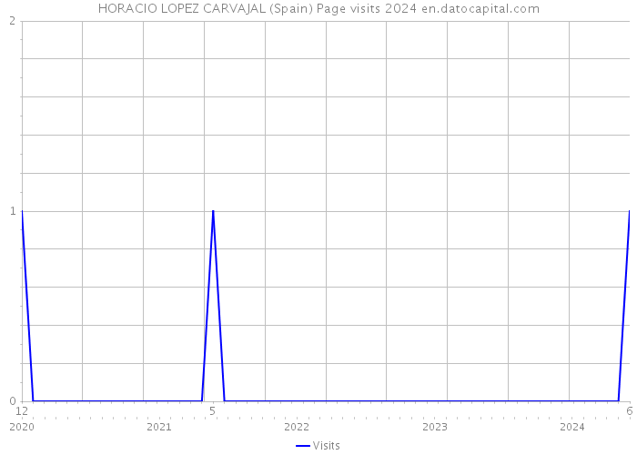 HORACIO LOPEZ CARVAJAL (Spain) Page visits 2024 