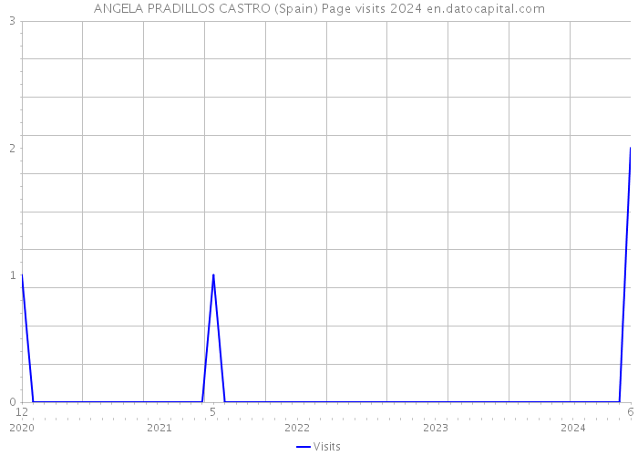 ANGELA PRADILLOS CASTRO (Spain) Page visits 2024 