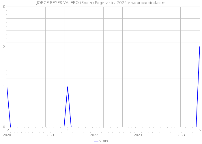 JORGE REYES VALERO (Spain) Page visits 2024 