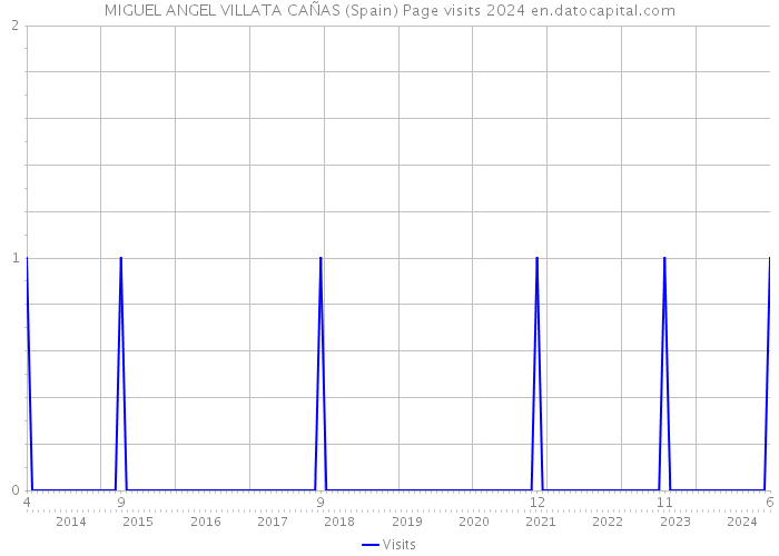 MIGUEL ANGEL VILLATA CAÑAS (Spain) Page visits 2024 