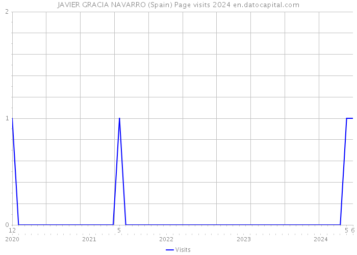 JAVIER GRACIA NAVARRO (Spain) Page visits 2024 