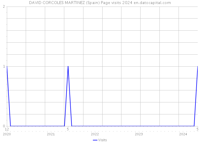 DAVID CORCOLES MARTINEZ (Spain) Page visits 2024 