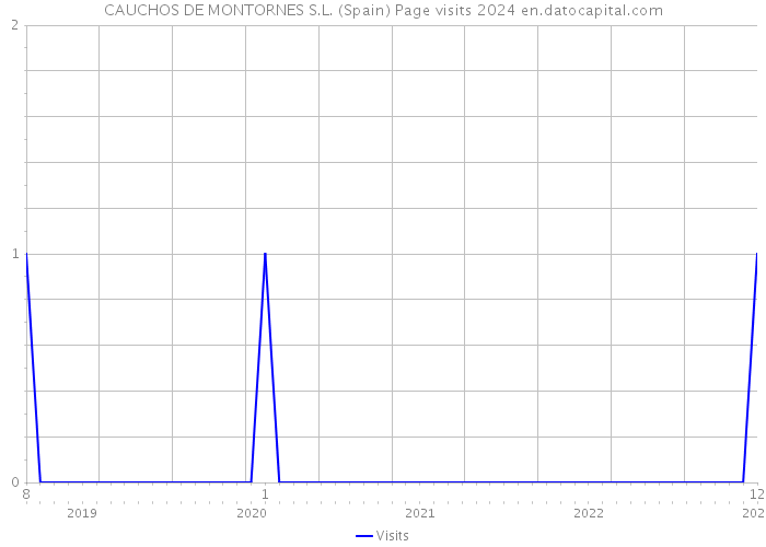 CAUCHOS DE MONTORNES S.L. (Spain) Page visits 2024 