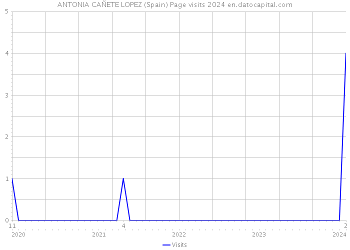 ANTONIA CAÑETE LOPEZ (Spain) Page visits 2024 