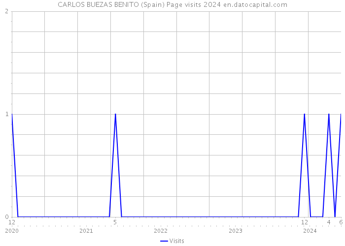 CARLOS BUEZAS BENITO (Spain) Page visits 2024 