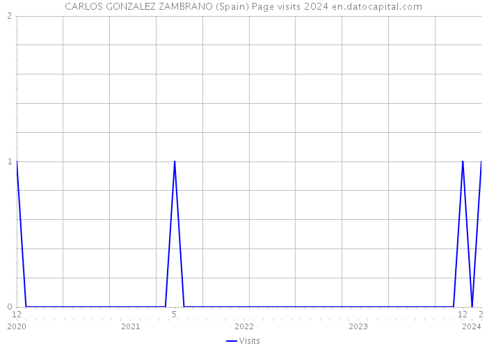 CARLOS GONZALEZ ZAMBRANO (Spain) Page visits 2024 