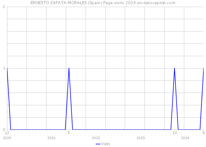 ERNESTO ZAPATA MORALES (Spain) Page visits 2024 