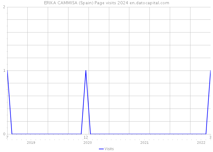 ERIKA CAMMISA (Spain) Page visits 2024 