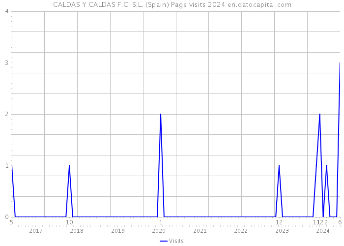 CALDAS Y CALDAS F.C. S.L. (Spain) Page visits 2024 