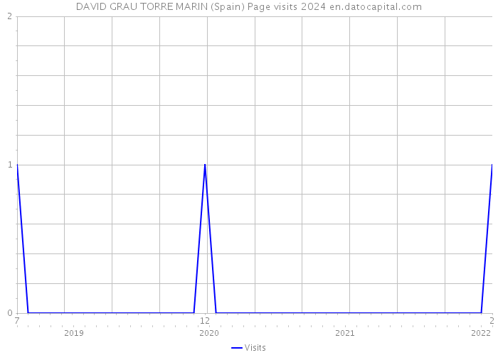 DAVID GRAU TORRE MARIN (Spain) Page visits 2024 